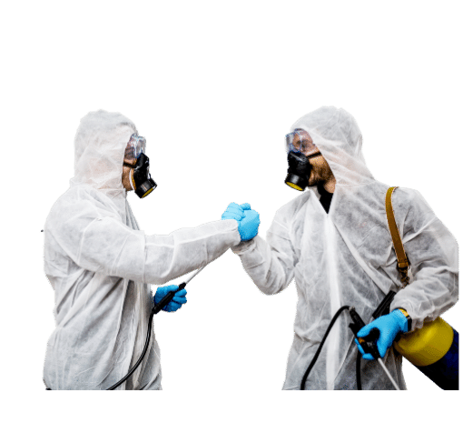 Lý do nên chọn diệt mối Tuấn Thành