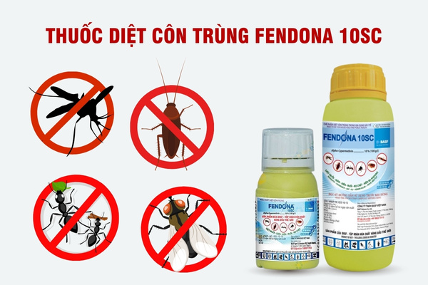 Fendona 10SC được đánh giá cao do hiệu quả tiêu diệt nhanh và an toàn cho người dùng
