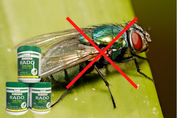 Thuốc diệt ruồi RADO thường được sử dụng cho không gian sống, bếp ăn, nhà hàng