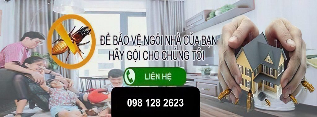Diệt mối Tuấn Thành