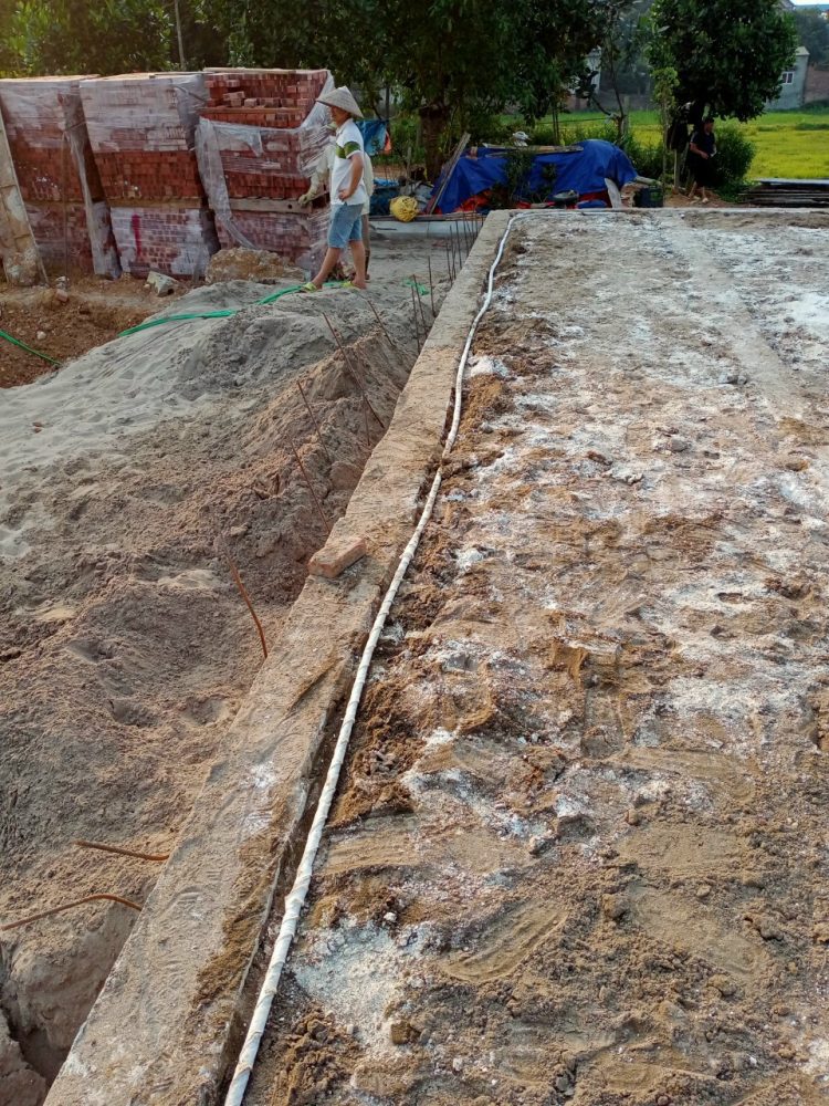 Thi công chống mối cho móng nhà