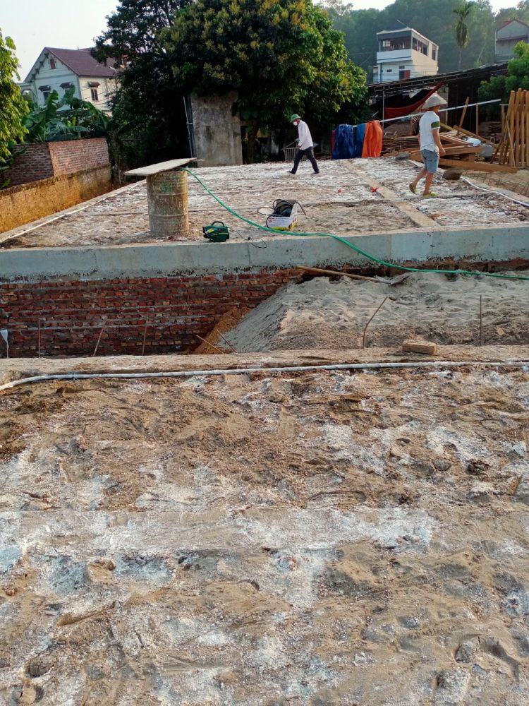 Thi công chống mối cho móng nhà