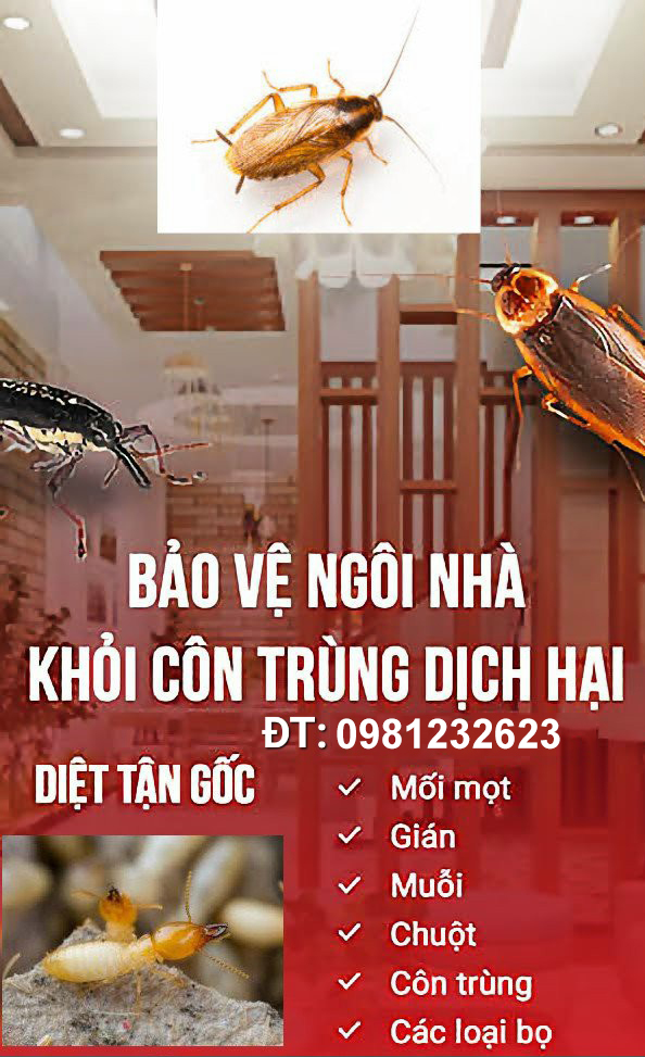 Bảo vệ ngôi nhà khỏi côn trùng gây hại