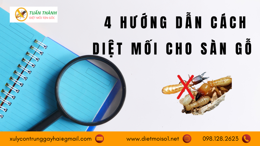 4 Hướng dẫn cách diệt mối cho sàn gỗ