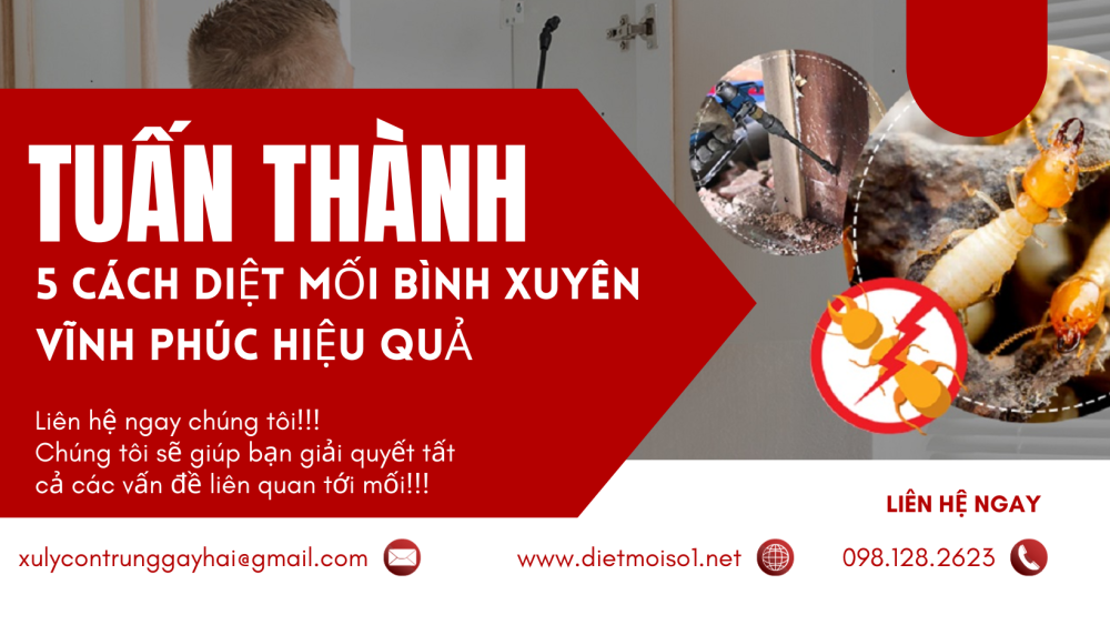 5 Cách Diệt Mối Bình Xuyên Vĩnh Phúc Hiệu Quả