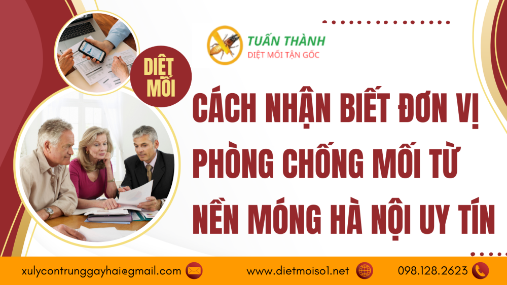 Cách nhận biết đơn vị phòng chống mối từ nền móng Hà Nội uy tín