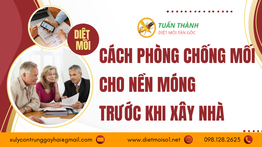 Cách phòng chống mối cho nền móng trước khi xây nhà