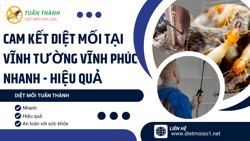 Cam Kết Diệt Mối Tại Vĩnh Tường Vĩnh Phúc NHANH - HIỆU QUẢ