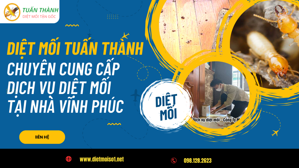 Diệt mối Tuấn Thành chuyên cung cấp dịch vụ diệt mối tại nhà Vĩnh Phúc