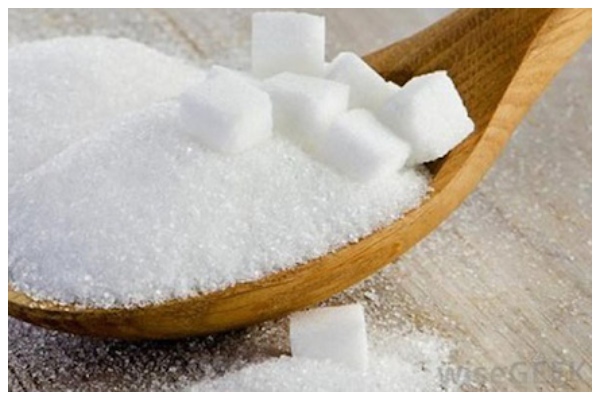 Sử dụng hàn the trộn đường để bẫy mối