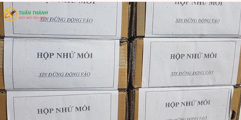 Ưu nhược điểm của thuốc diệt mối pmc 90