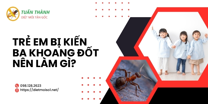 Trẻ em bị kiến ba khoang đốt nên làm gì?