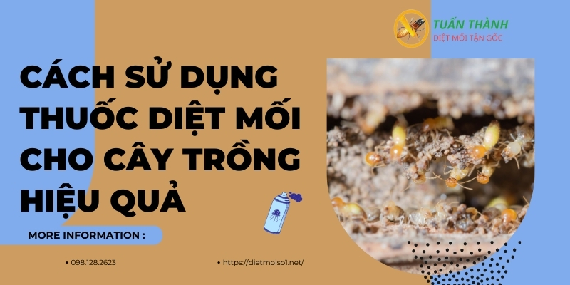 CÁch sử dụng thuốc diệt mối cho cây trồng hiệu quả