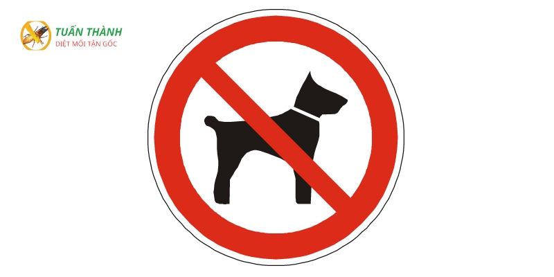 hiệu quả. Thuốc diệt mối SIFA 500ml 