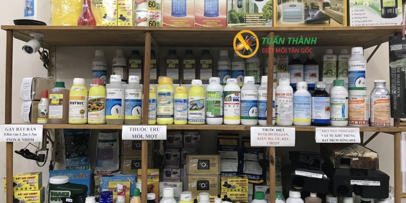 Thuốc diệt mối dạng bột