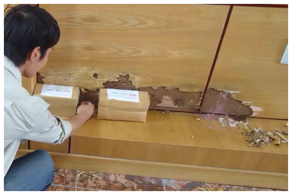 Cố định chắc chắn hộp nhử mối bằng dây buộc