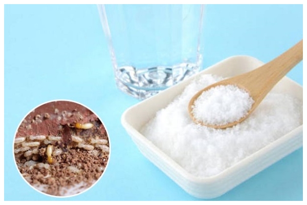 Diệt mối bằng hàn the