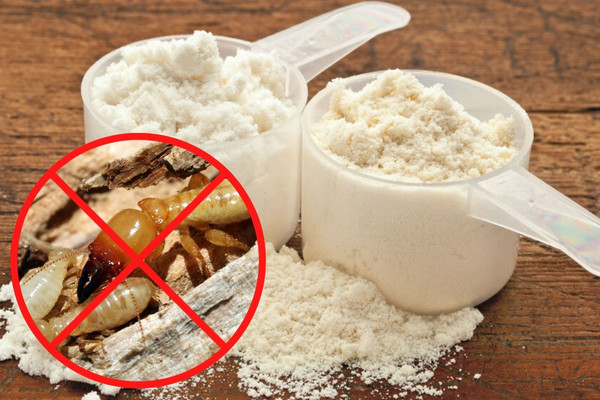 Hướng dẫn cách sử dụng thuốc diệt mối dạng bột đúng kỹ thuật