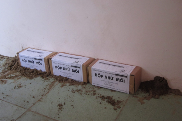 Kiểm tra và điều chỉnh vị trí hộp nhử nếu mối không có dấu hiệu xuất hiện