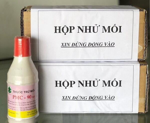 Cách diệt mối tận gốc bằng thuốc bột