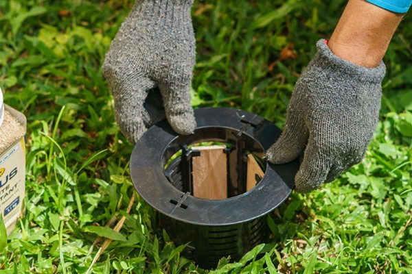 Diệt mối trên mặt đất bằng cách phun thuốc trực tiếp