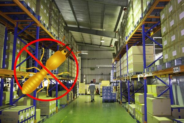 Diệt mối nhà kho giúp đảm bảo an toàn hàng hóa