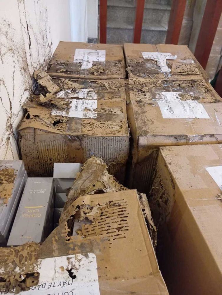 Thùng carton bị mối gặm nhấm trong nhà kho