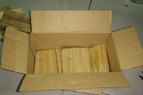 Sử dụng hộp nhử mối