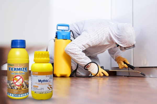 Phun thuốc diệt mối đúng cách, đúng loại để đảm bảo an toàn, hiệu quả