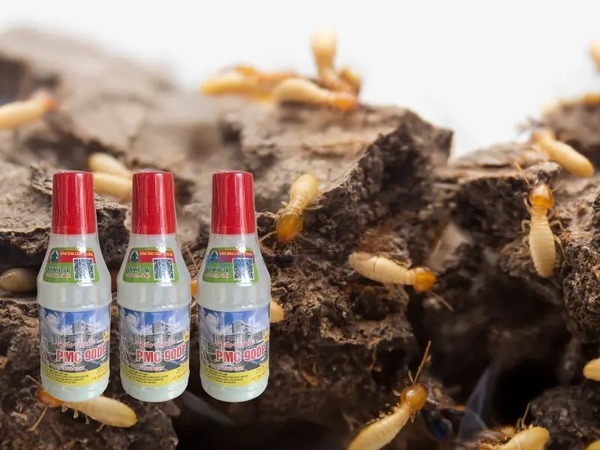 Hãy tuân thủ các bước hướng dẫn khi sử dụng PMC 90DP để mang lại hiệu quả cao