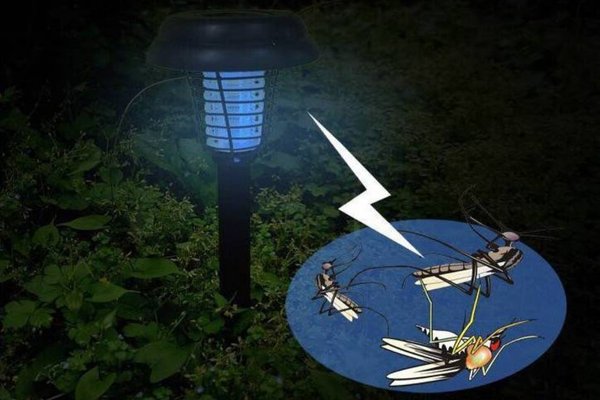 Sử dụng đèn led chuyên dụng để đuổi muỗi, côn trùng