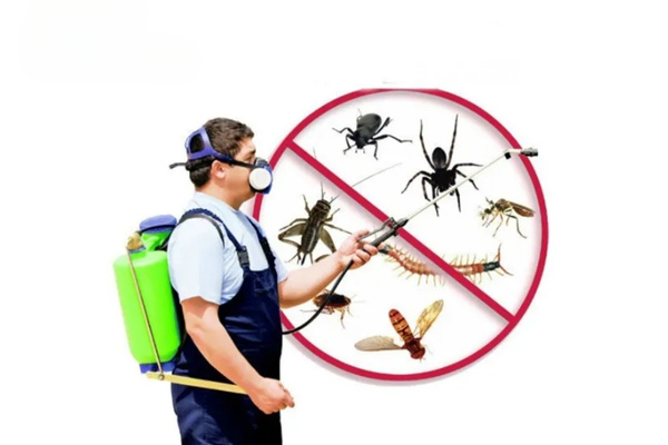 Diệt Mối Tuấn Thành cung cấp dịch vụ diệt côn trùng uy tín, đảm bảo hiệu quả triệt để