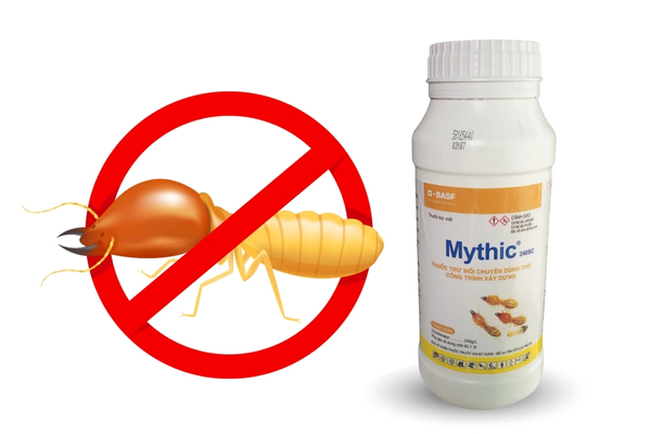Thuốc trừ mối Mythic 240SC được sử dụng phổ biến nhờ hiệu quả tiêu diệt tổ mối